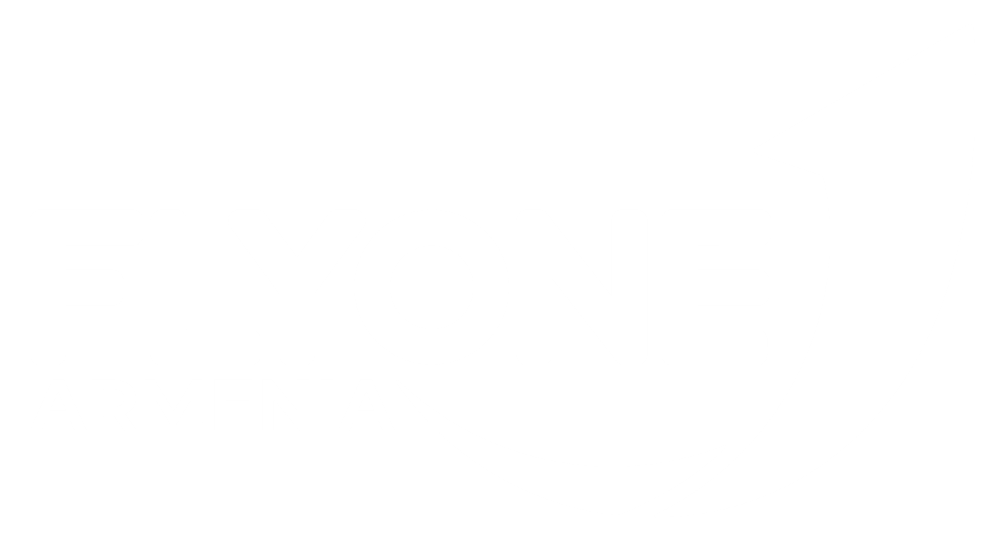 Logo Flyone Armenia