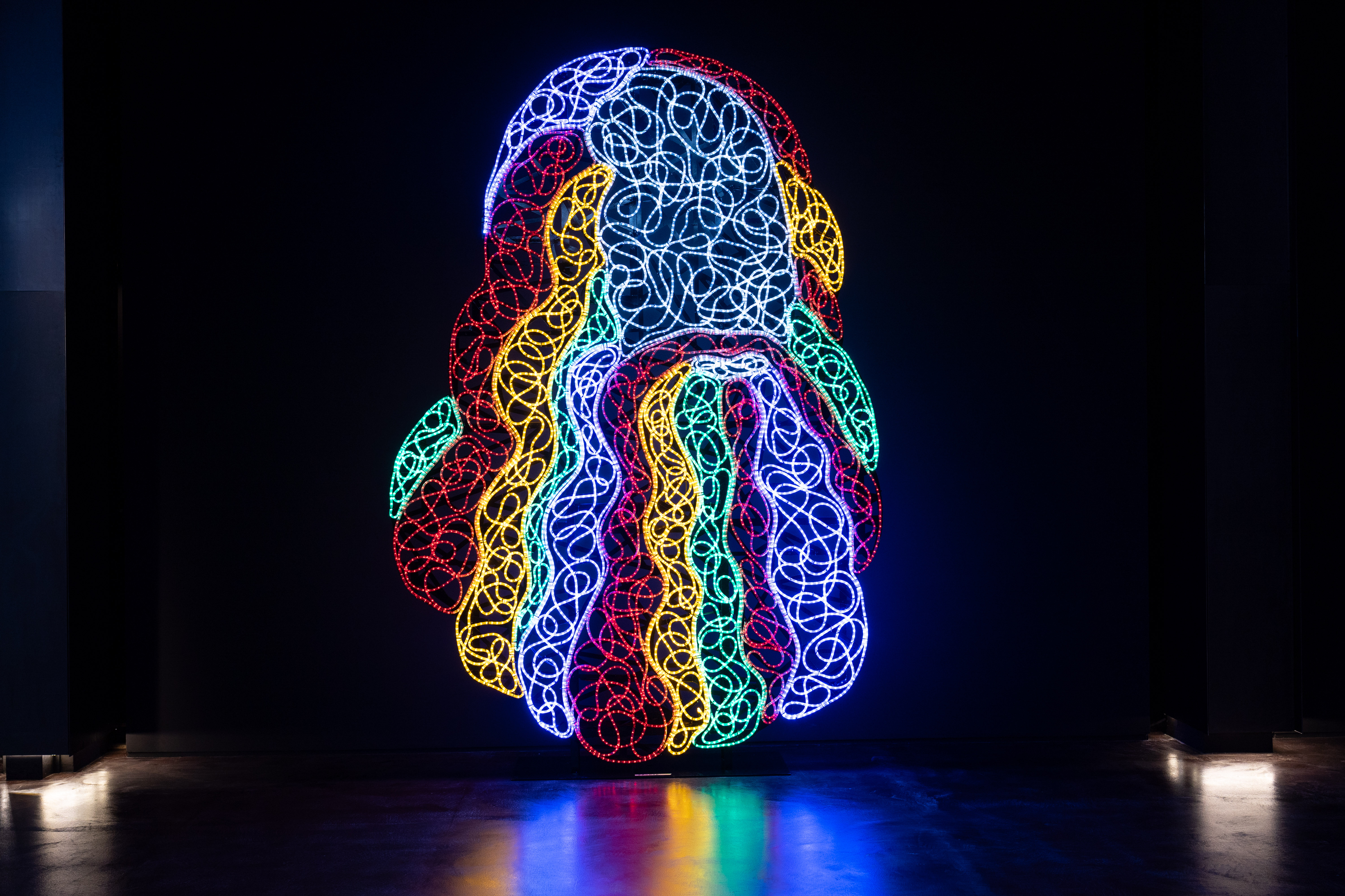 Opera Leonardo, uomo illuminato di Marco lodola - 2025 